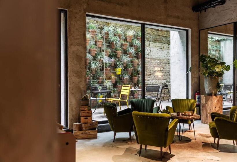 בית מלון כפרי Upstairs