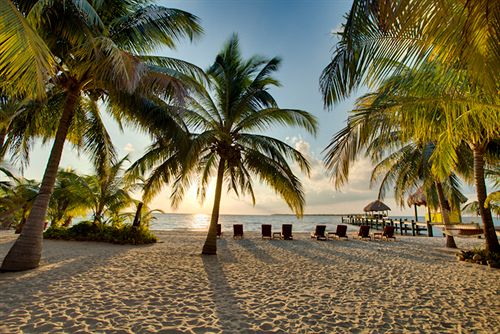 בית מלון כפרי Singing Sands Inn