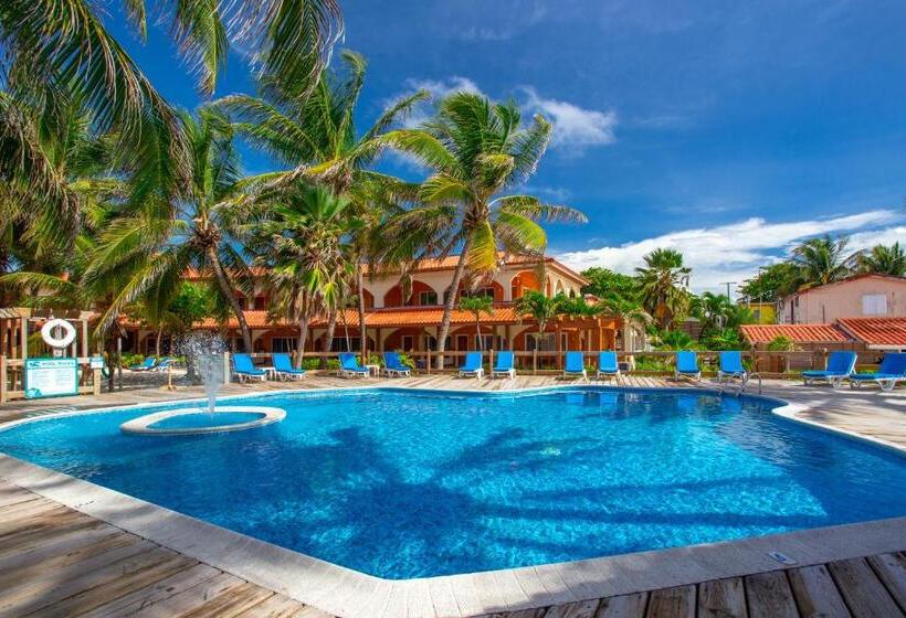 בית מלון כפרי Sunbreeze