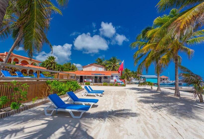 בית מלון כפרי Sunbreeze