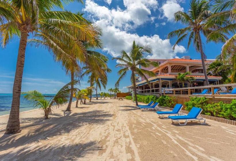 בית מלון כפרי Sunbreeze