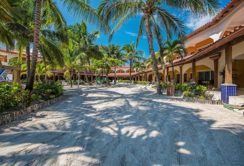 בית מלון כפרי Sunbreeze