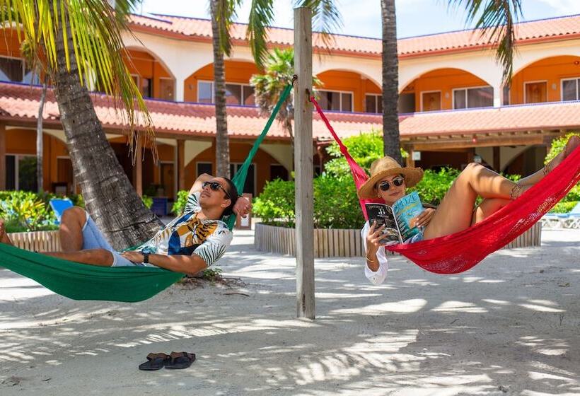 בית מלון כפרי Sunbreeze