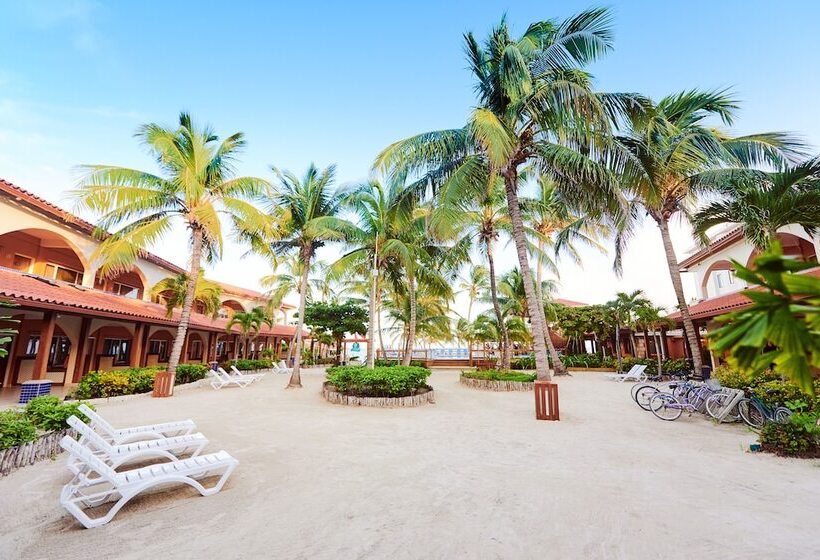 בית מלון כפרי Sunbreeze