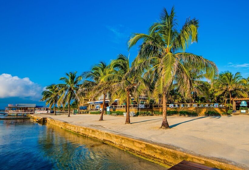 בית מלון כפרי Sunbreeze