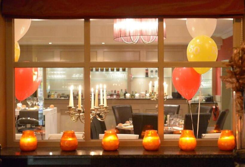 Отель The New Fox