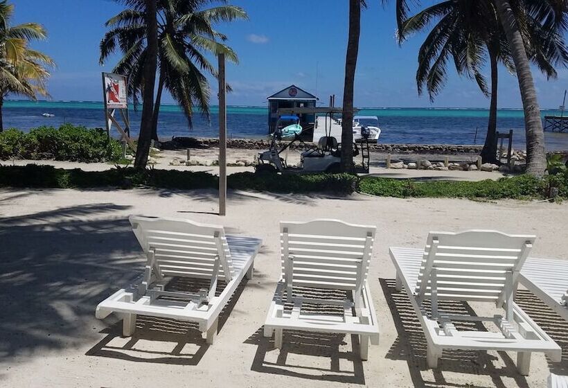 Seven Seas Resort Adults Only