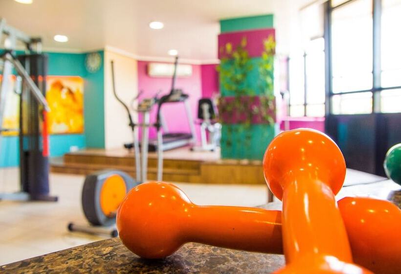 Flat Golden Fortaleza