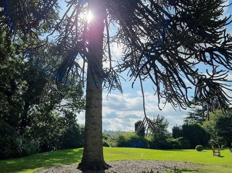 Alexander House Hotel & Utopia Spa