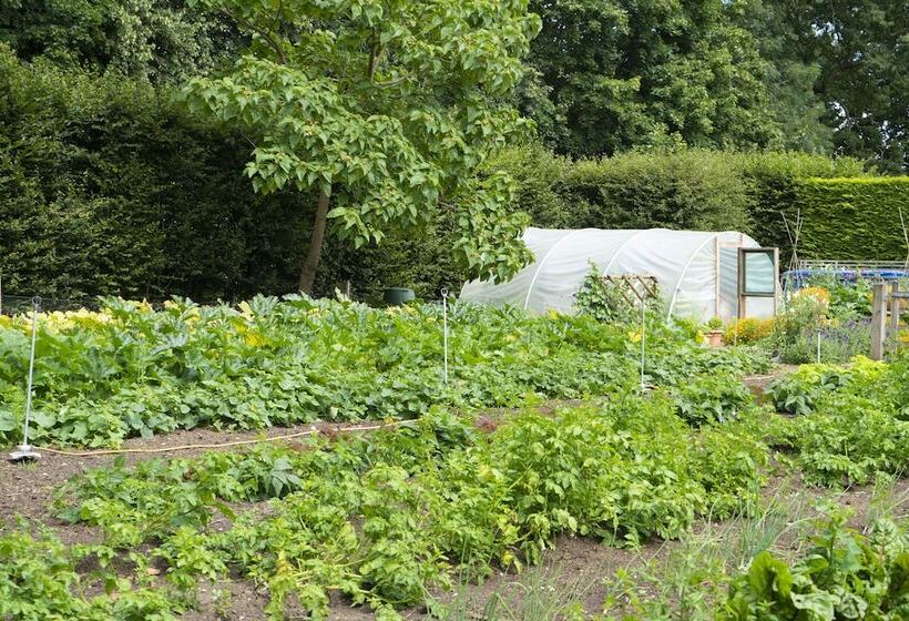 בית מלון כפרי Beechfield House