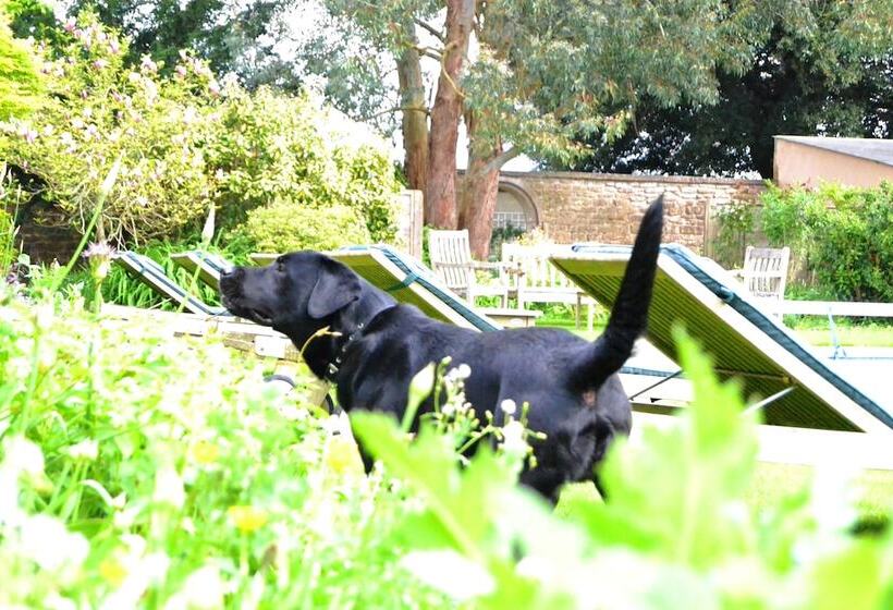 בית מלון כפרי Beechfield House