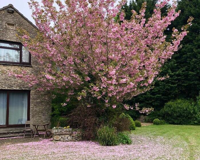 酒店 Best Western Compass Inn