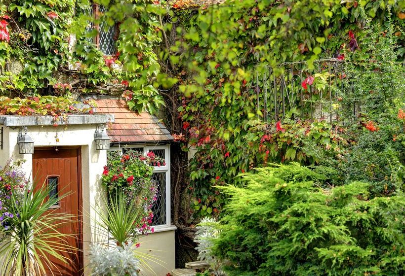 酒店 Best Western Compass Inn