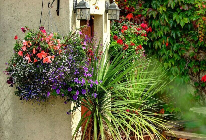 酒店 Best Western Compass Inn