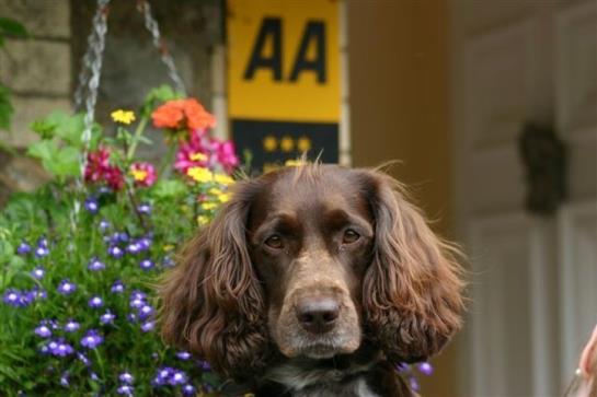 ホテル Fairwater Head