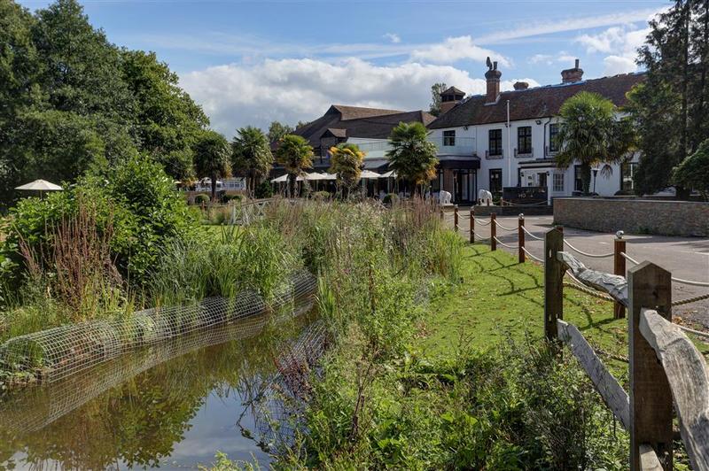 Frensham Pond Country House Hotel & Spa