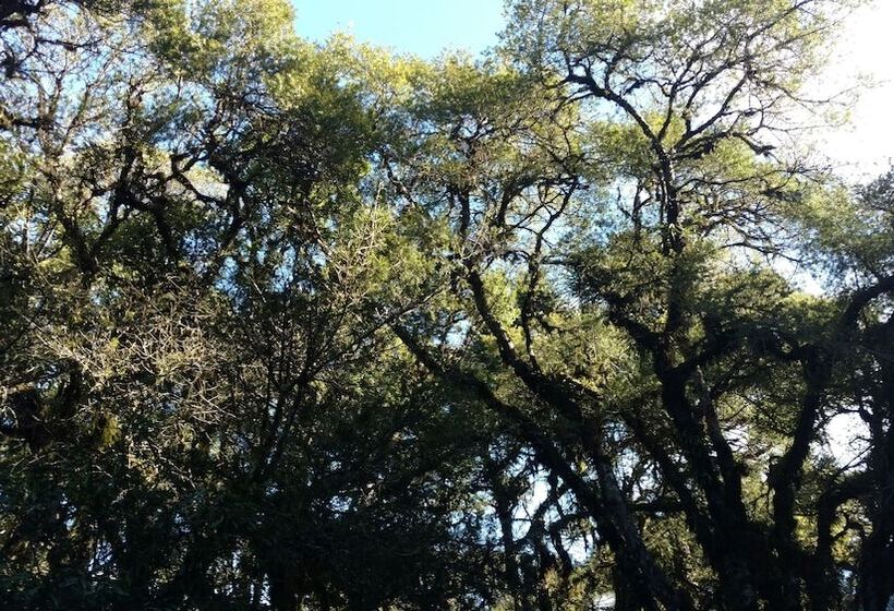 ホテル Laje De Pedra Mountain Villageprime