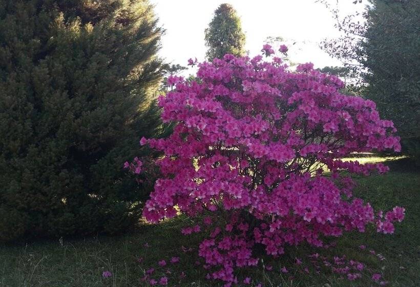 ホテル Laje De Pedra Mountain Villageprime