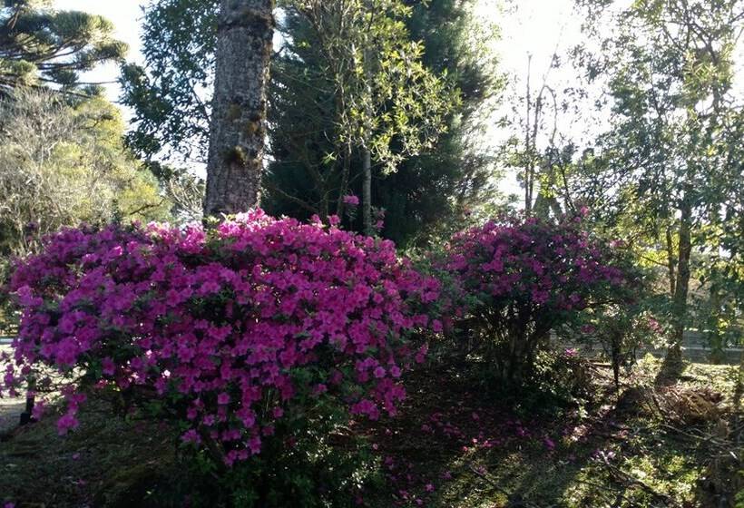 ホテル Laje De Pedra Mountain Villageprime