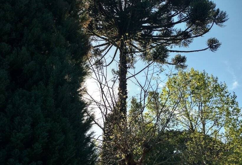 ホテル Laje De Pedra Mountain Villageprime