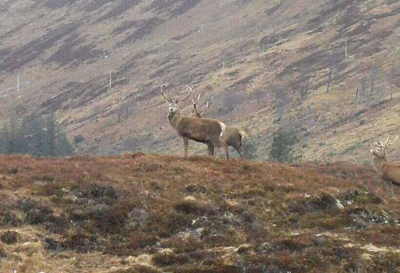 ホテル Ledgowan Lodge