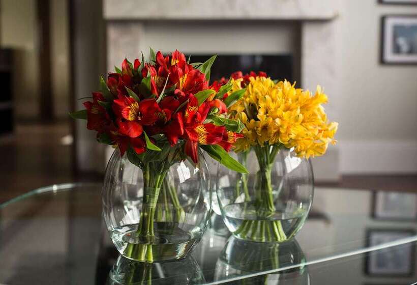 Art Hotel Transamerica Collection