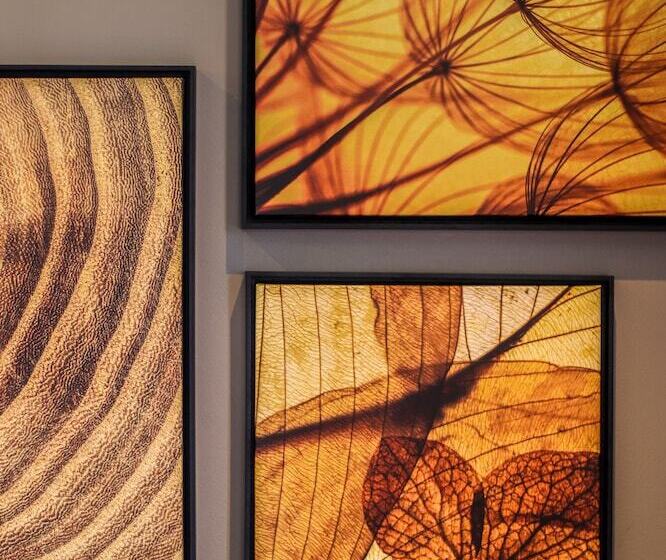 Art Hotel Transamerica Collection