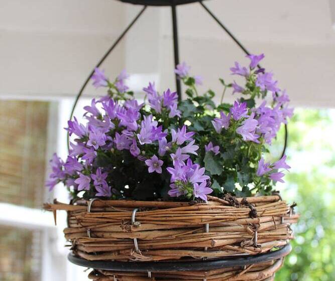 Отель The Abbey House