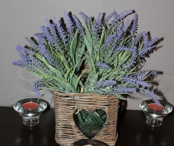 Отель The Abbey House