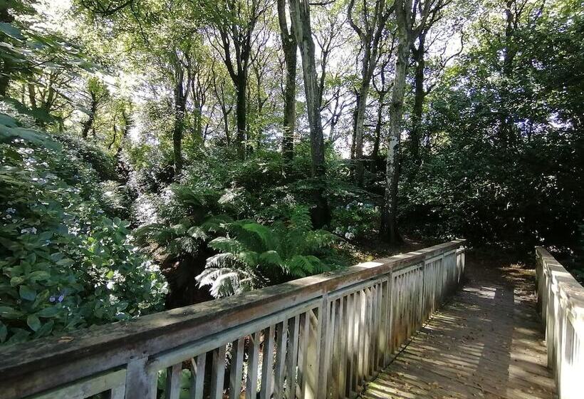 בית מלון כפרי Tregenna Castle Resort