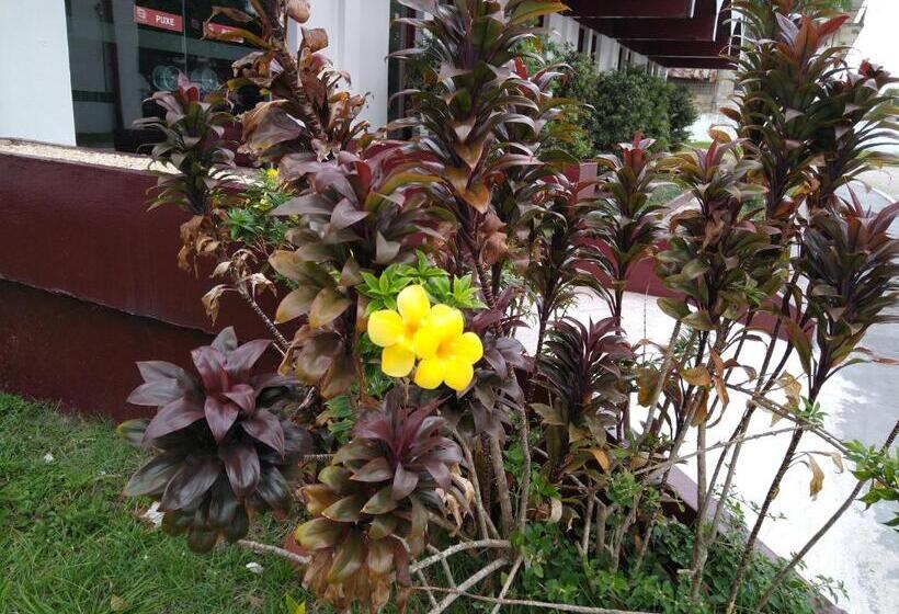 酒店 Vila Rica Belem