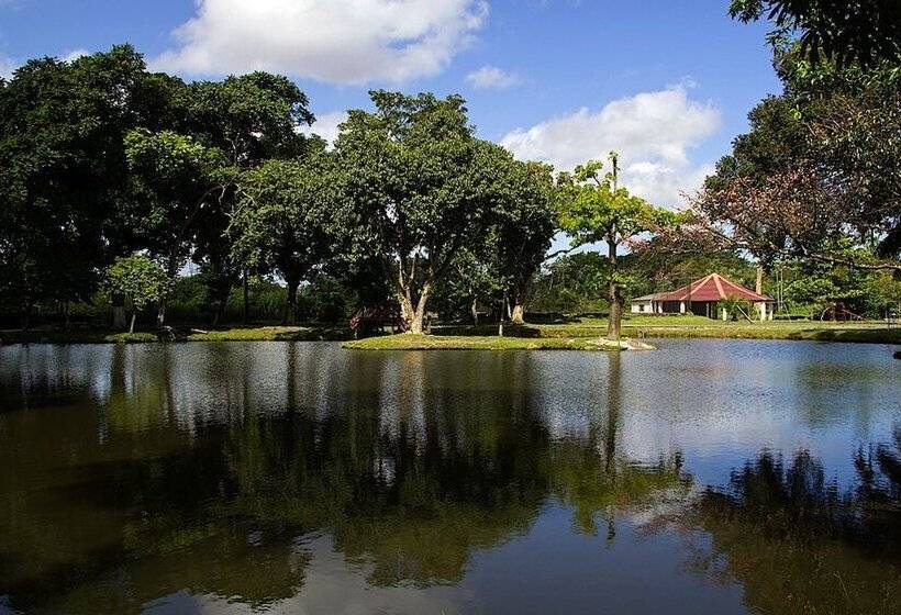 酒店 Vila Rica Belem