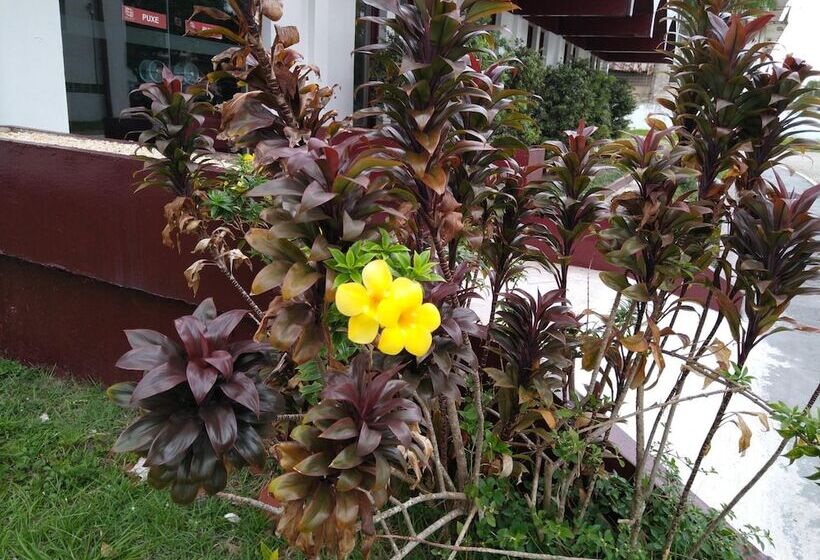 酒店 Vila Rica Belem