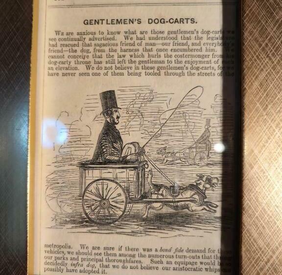 酒店 Wizards Thatch Luxury Suites