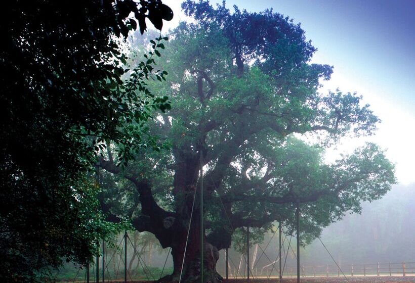 בית מלון כפרי Best Western Plus Nottingham Westminster