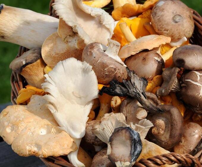 فندق Bunchrew House