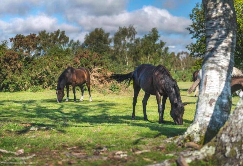 בית מלון כפרי Burley Manor