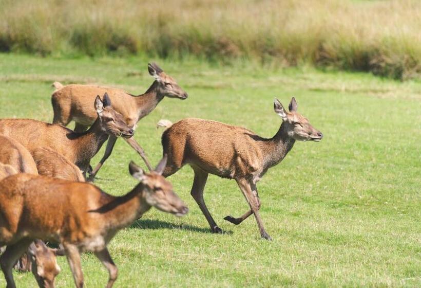 בית מלון כפרי Burley Manor