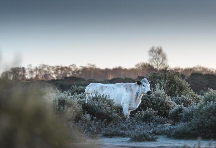 בית מלון כפרי Burley Manor