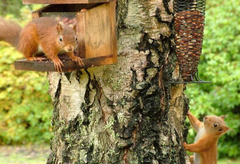 Отель Carnach House