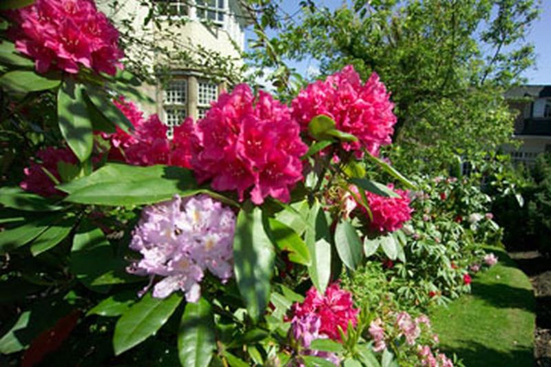 فندق Dalmeny Park House