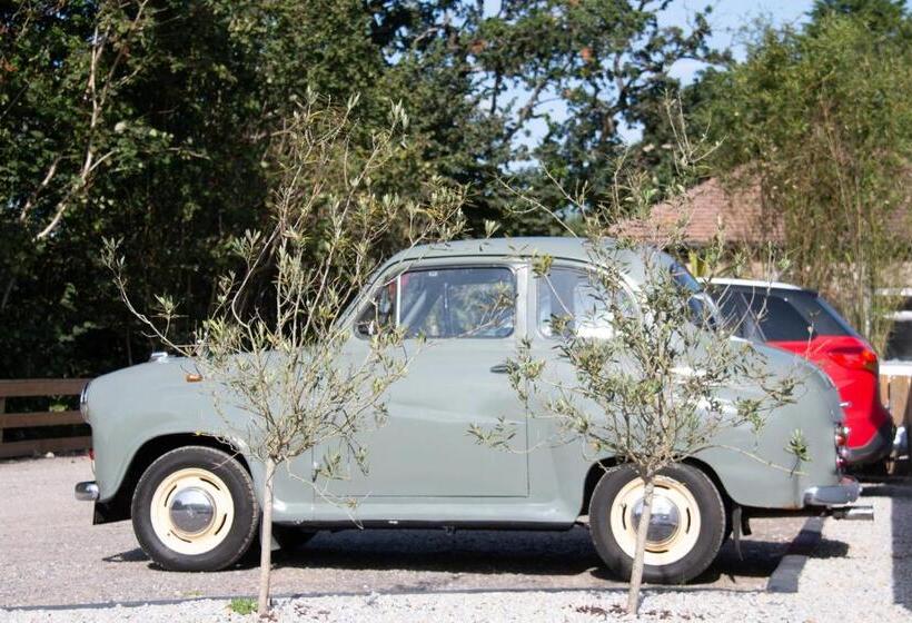 فندق Dartmoor Lodge