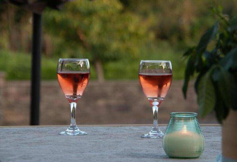 فندق Dartmoor Lodge