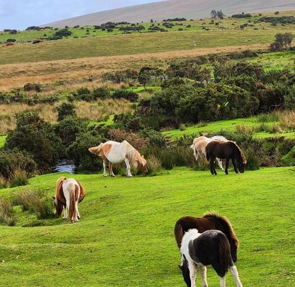 فندق Dartmoor Lodge