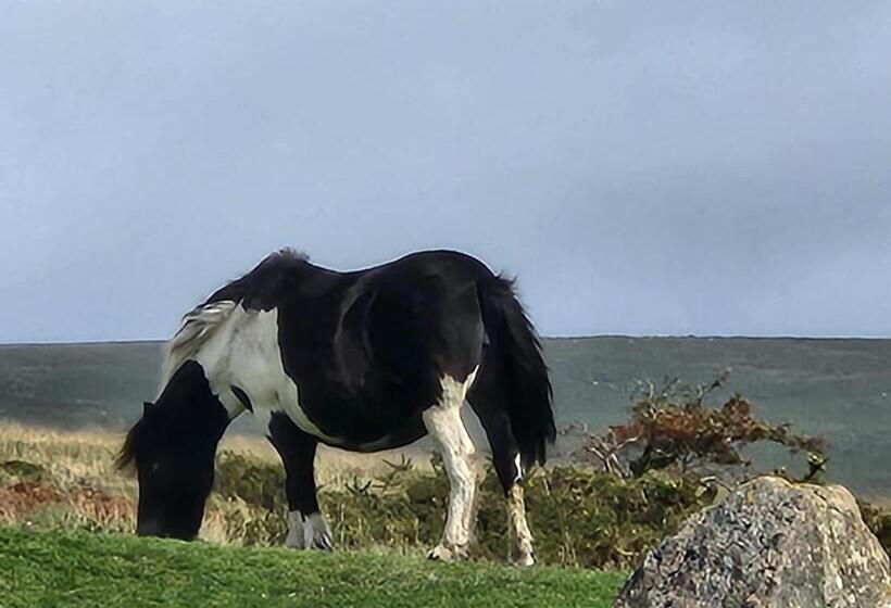 فندق Dartmoor Lodge