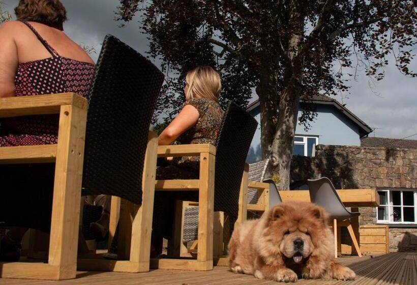 فندق Dartmoor Lodge