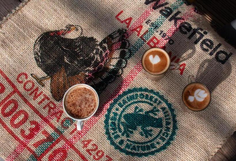 فندق Dartmoor Lodge