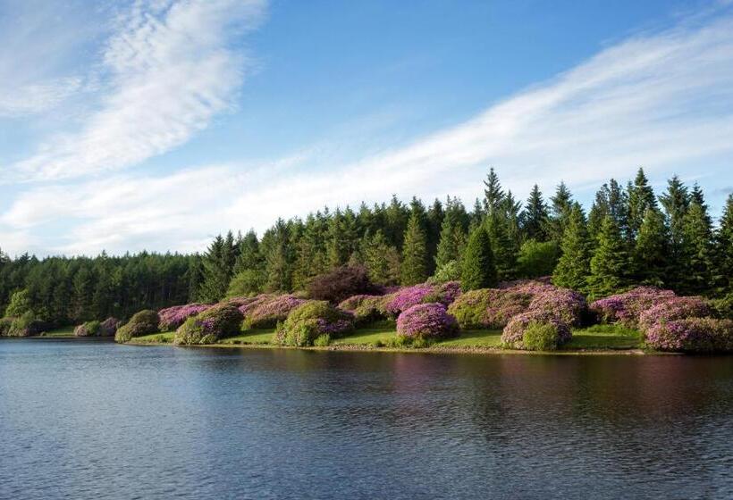 فندق Dartmoor Lodge