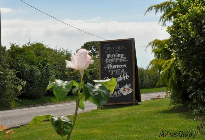 בית מלון כפרי Greyhound Country Inn