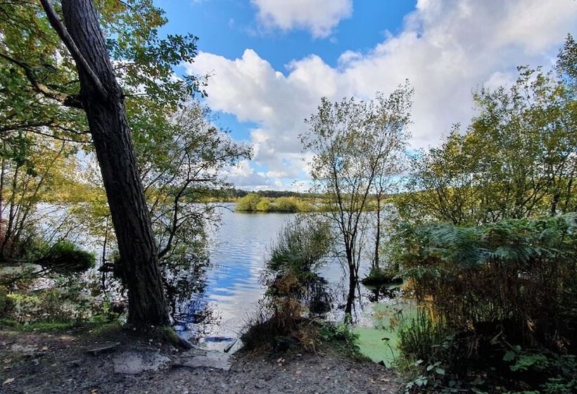 ホテル Mercure Chester Abbots Well